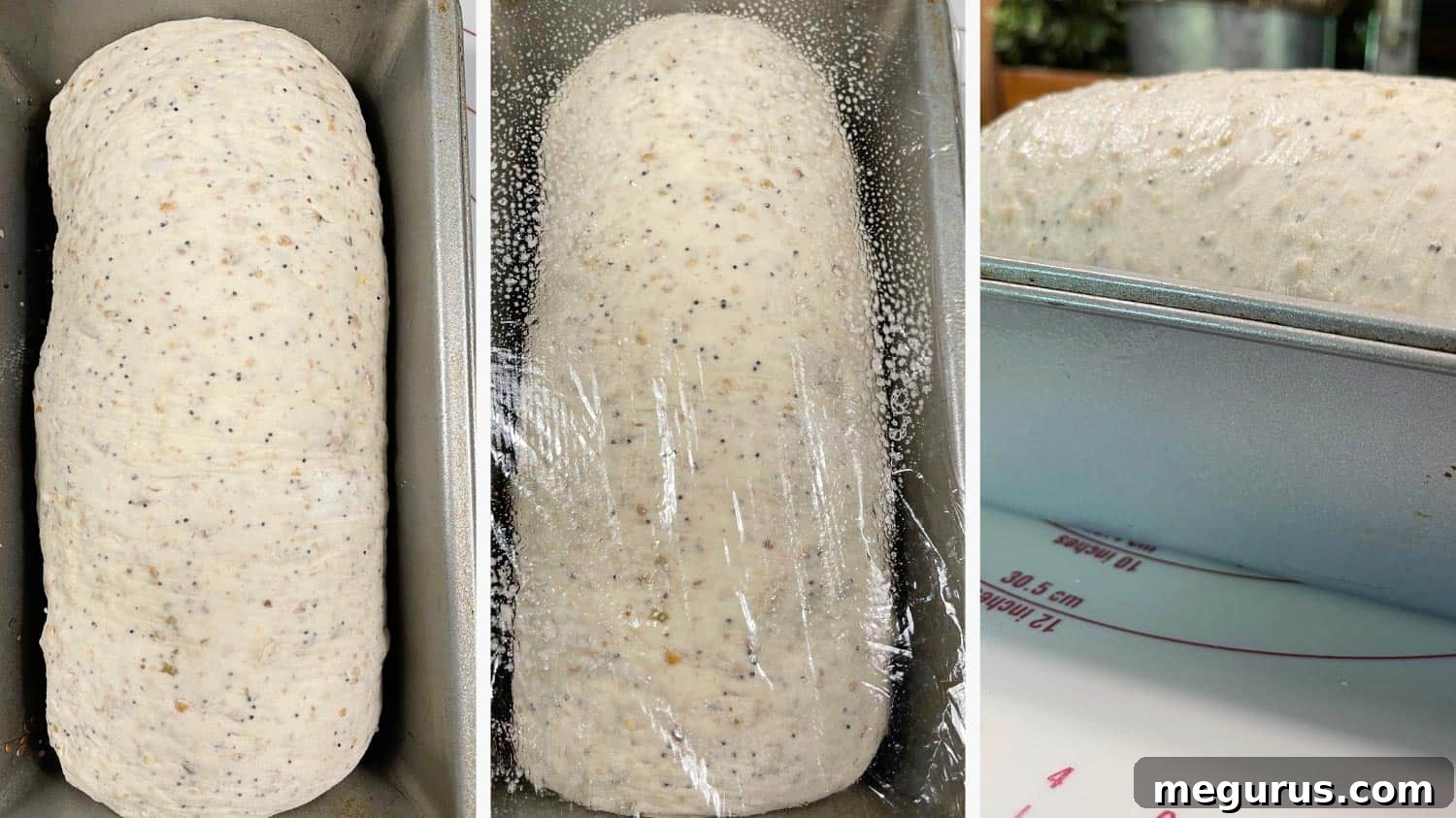 Image illustrating a formed multigrain bread loaf in a pan before rising and the same loaf after it has successfully risen, doubled in size.