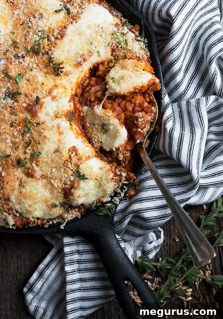 Close-up of baked Sausage and Farro Parmesan with melted mozzarella