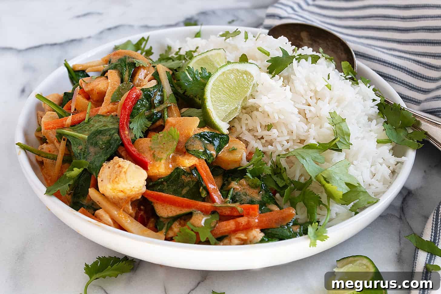 Thai red curry chicken in bowl with rice