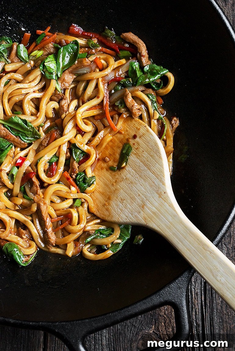 20 Minute Spicy Pork Udon Stir Fry, a close-up of the finished dish.