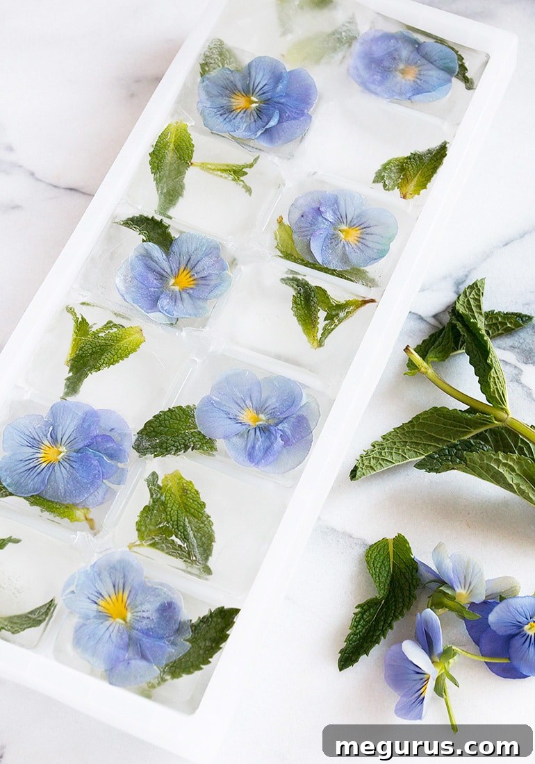 Close-up of elegant Pansy and Mint Ice Cubes in a glass, ready to be enjoyed in a refreshing drink.