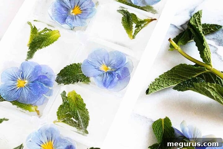 Vibrant pansy edible flower ice cubes in an ice cube tray, a key ingredient for the sparkling lemonade recipe.
