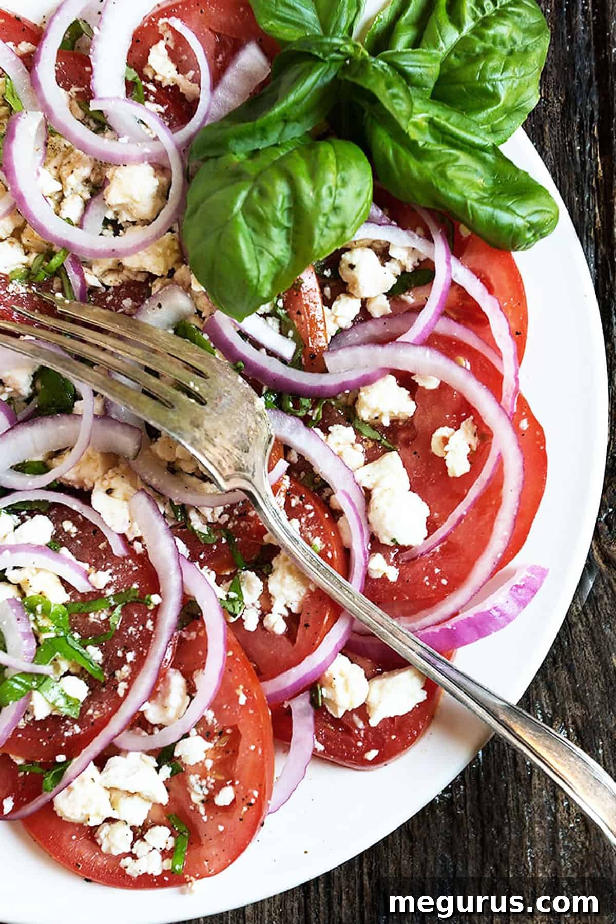 Close-up of a colorful tomato feta salad with fresh basil leaves