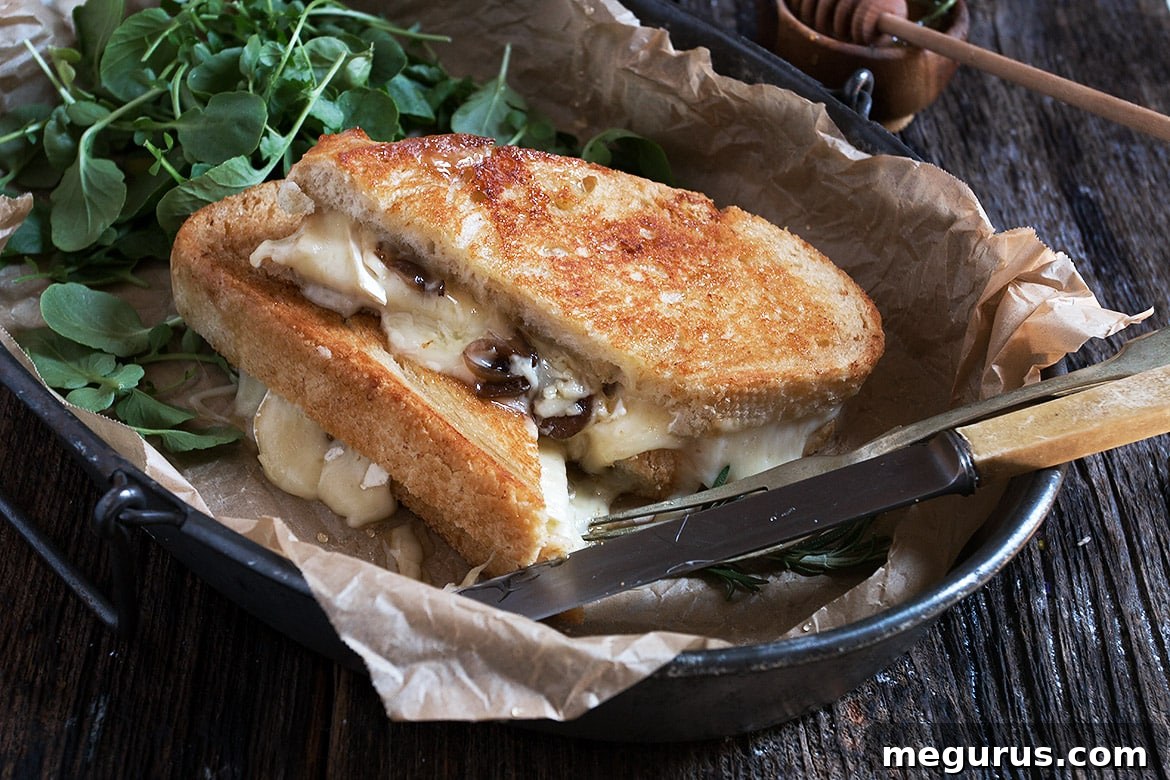 Gourmet Camembert and Gruyere Grilled Cheese with Balsamic Onions and Rosemary Honey