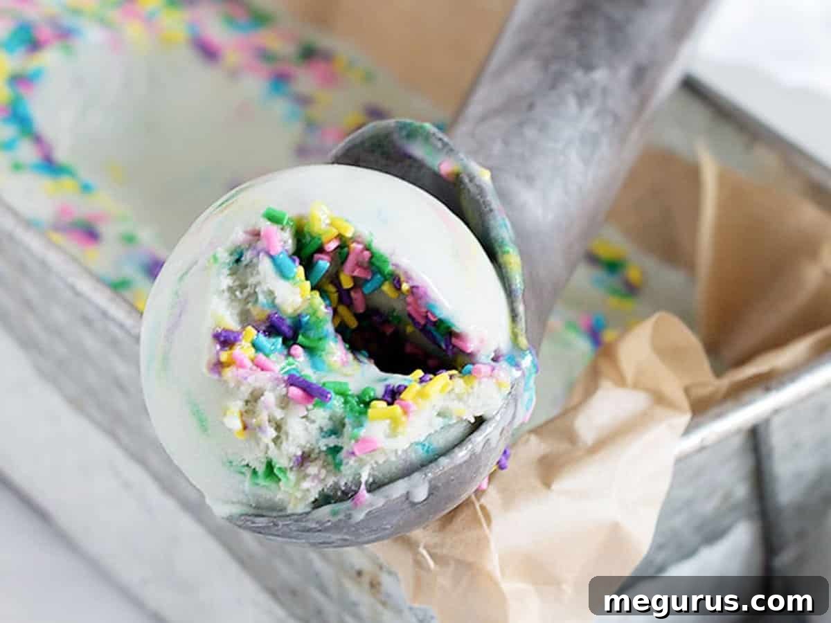 Scooped Birthday Cake Gelato in a bowl, showing creamy texture and colorful sprinkles