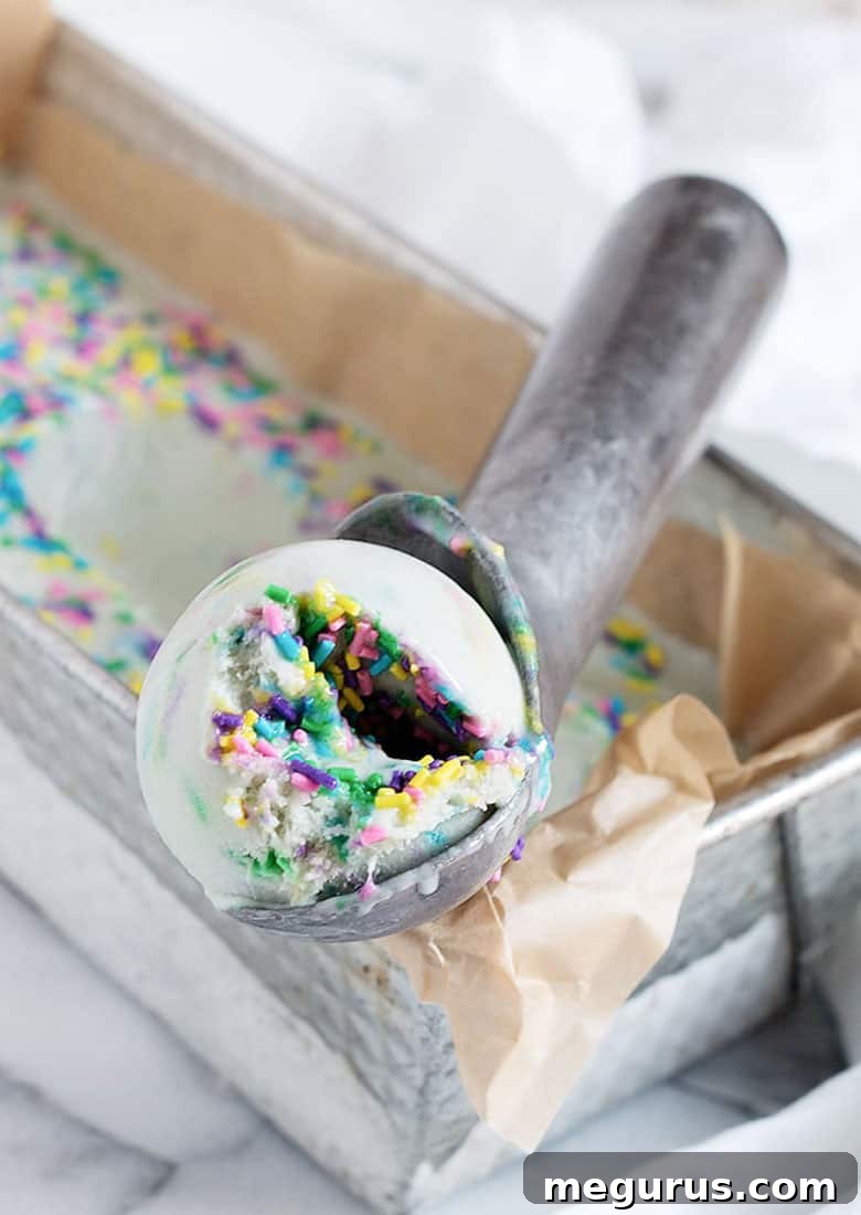 Close-up of birthday cake gelato with sprinkles, ready to be scooped