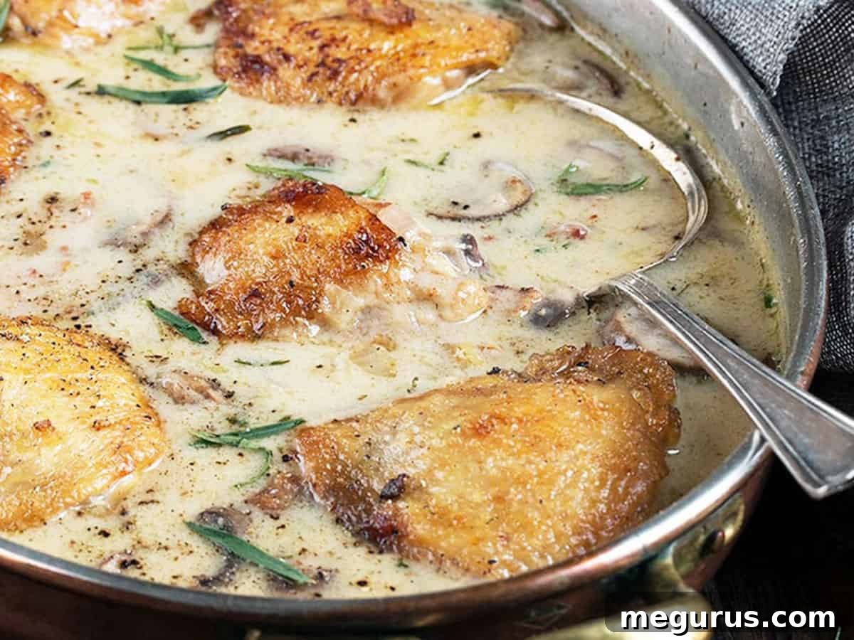 French chicken with creamy sauce in pan with spoon