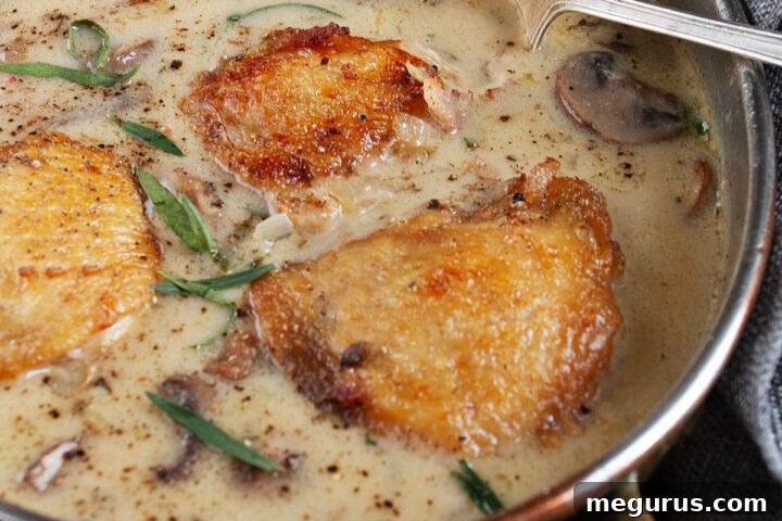 saucy French chicken in serving dish with spoon