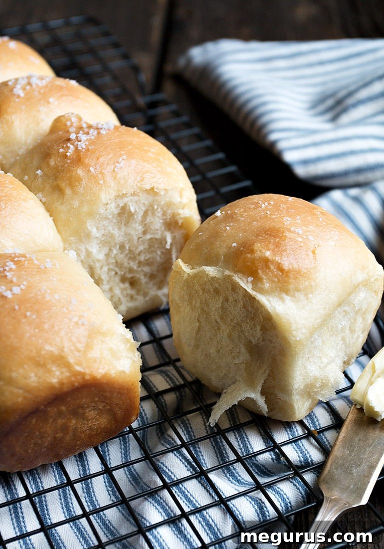 Perfectly shaped dough balls for Colicchio's Dinner Rolls, ready for their final rise.