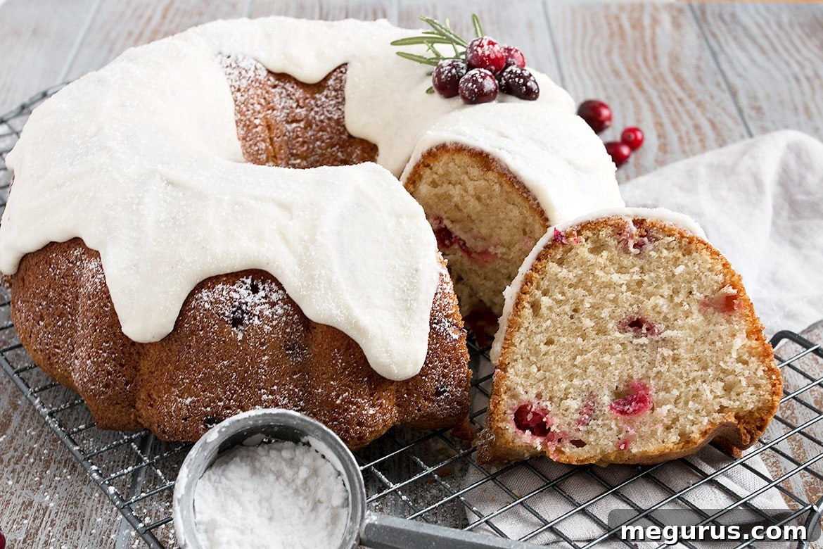 Snow Capped Cranberry Bundt Cake