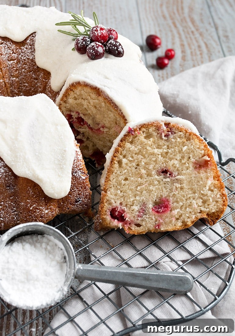 Snow Capped Cranberry Bundt Cake
