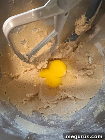 A large egg is added to the creamed butter and sugar mixture in the mixer