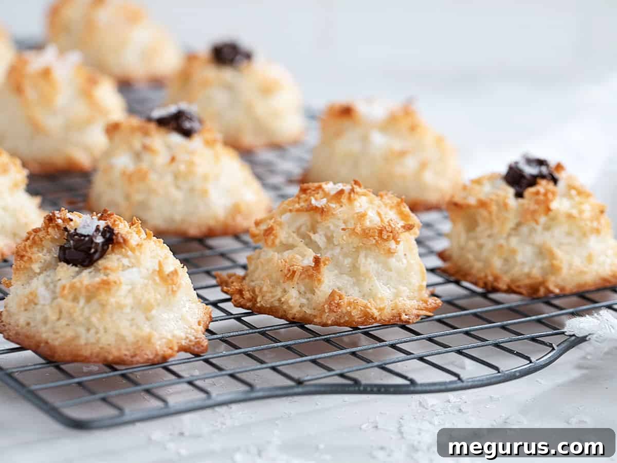 Golden brown coconut macaroons cooling on a wire rack, sprinkled with salt, showcasing their delightful texture