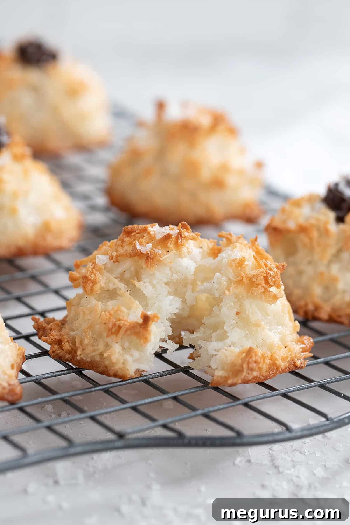 Close-up photo of various coconut macaroons, some plain and some with chocolate, on a cooling rack