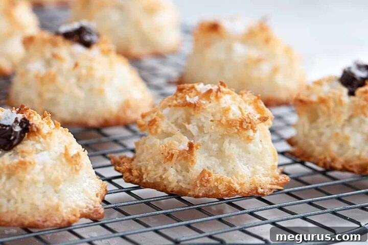 Alice Medrich's Coconut Macaroons cooling on a rack, some dipped in chocolate