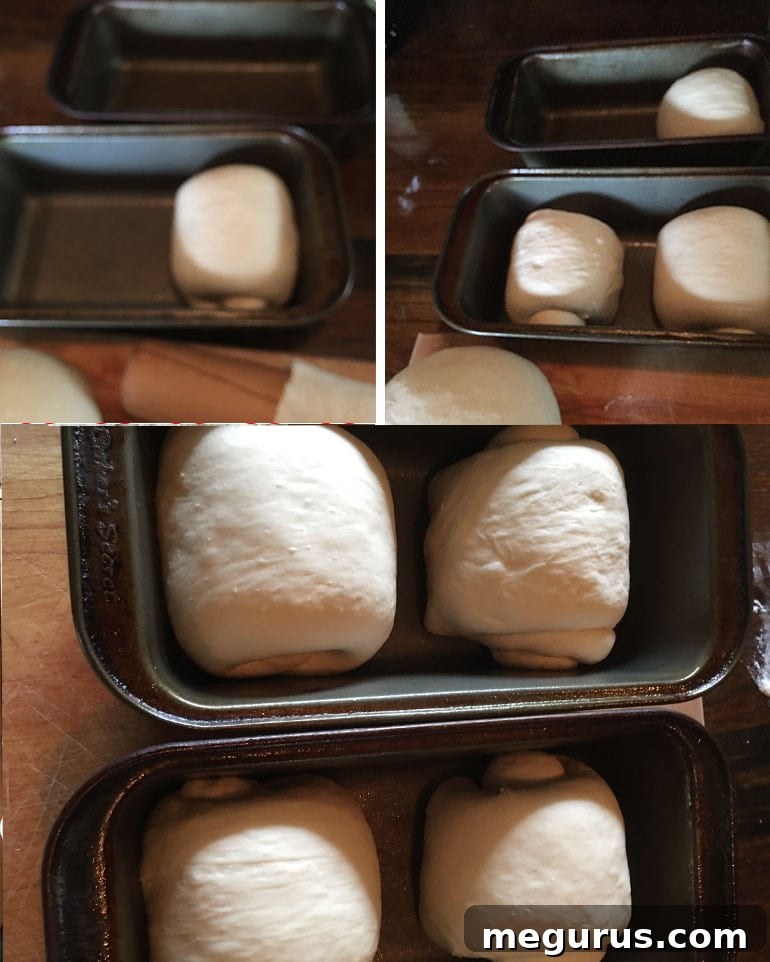 Step-by-step photos demonstrating the final stages of shaping Shokupan dough and placing it into loaf pans.