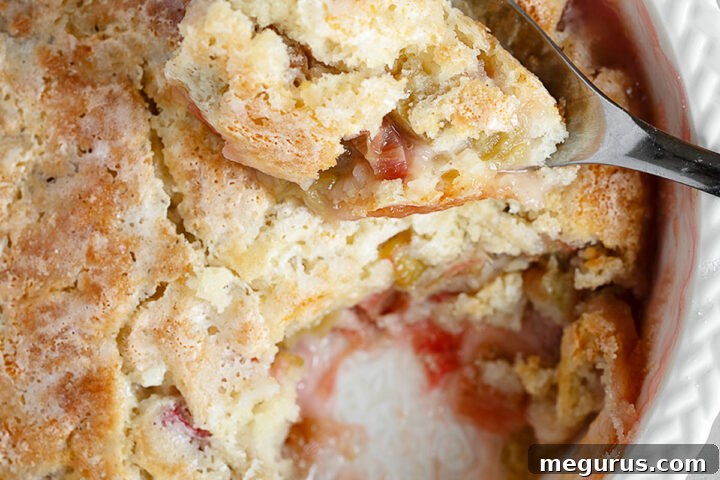 Rhubarb pudding cake in baking dish with spoon.