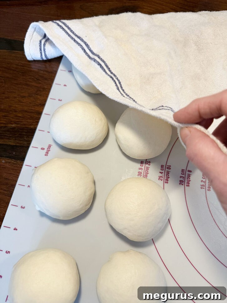 Eight small dough balls resting under a clean tea towel to relax the gluten.