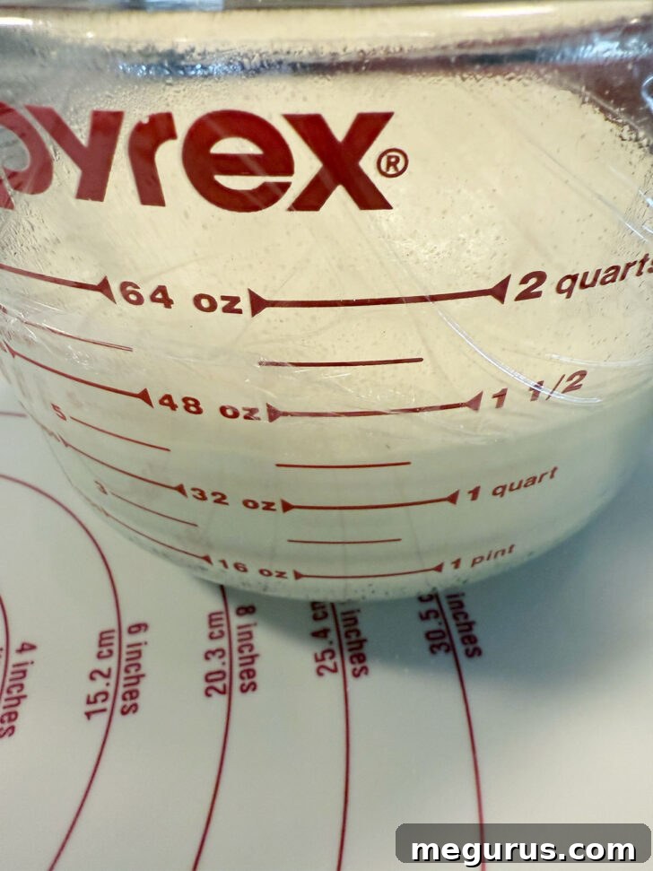 Dough after it has successfully doubled in size during the rising process in a measuring cup.