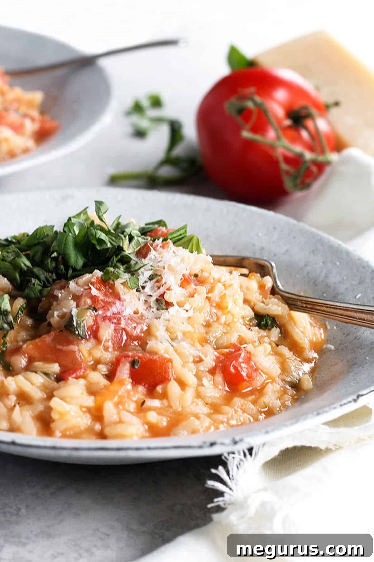 A close-up shot of a bowl filled with creamy tomato risotto, garnished with fresh basil, with whole ripe red tomatoes and basil leaves artfully blurred in the background, conveying freshness and flavor.