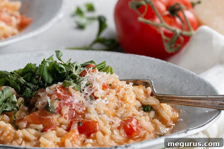 tomato basil risotto in bowl with fork