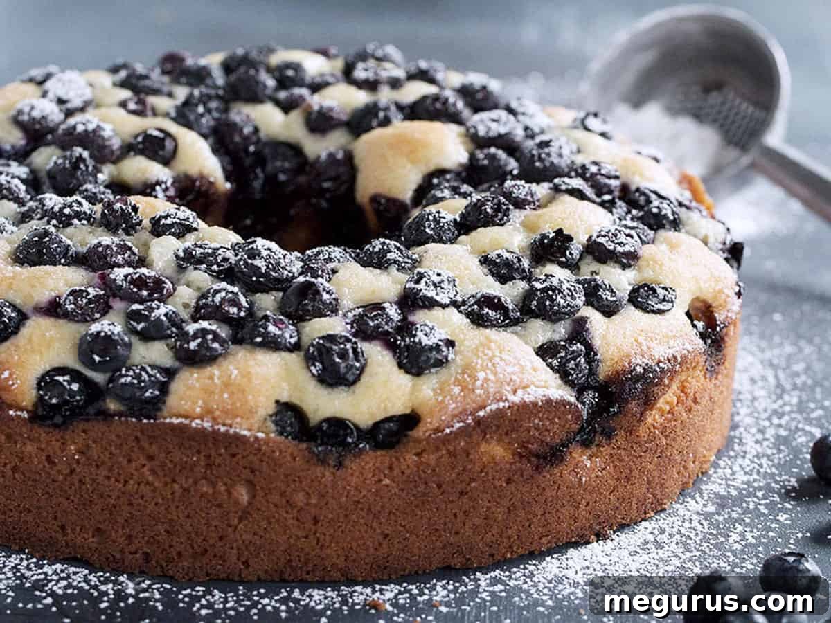 Delicious Blueberry Sour Cream Cake on a serene blue background, ready to be enjoyed