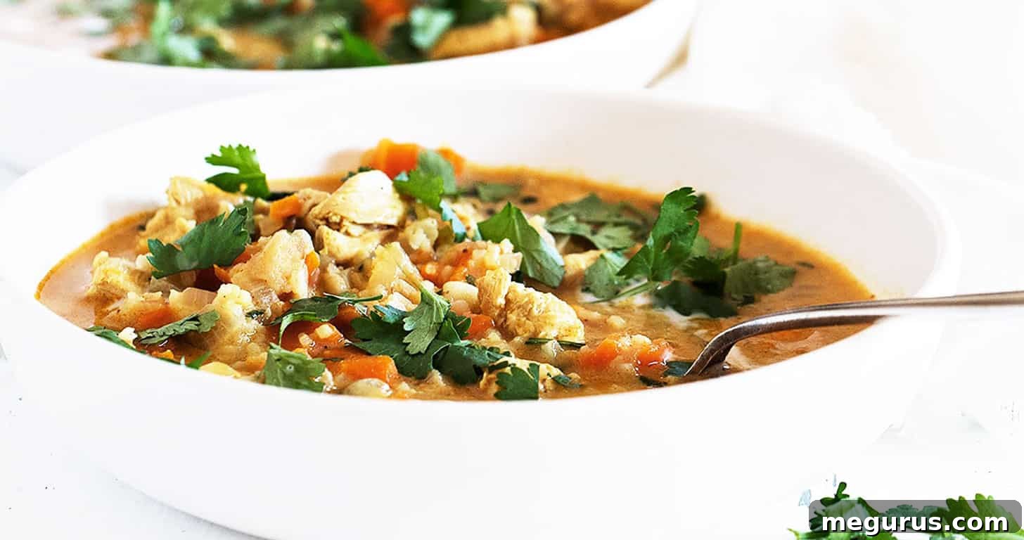 chicken mulligatawny soup in bowl with spoon
