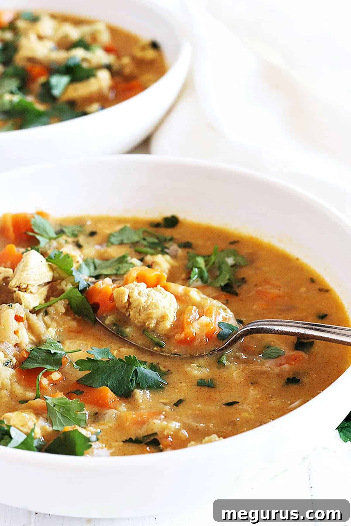 chicken mulligatawny soup in white bowl with spoon