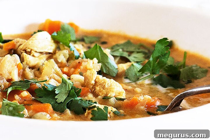chicken mulligatawny soup in bowl with spoon