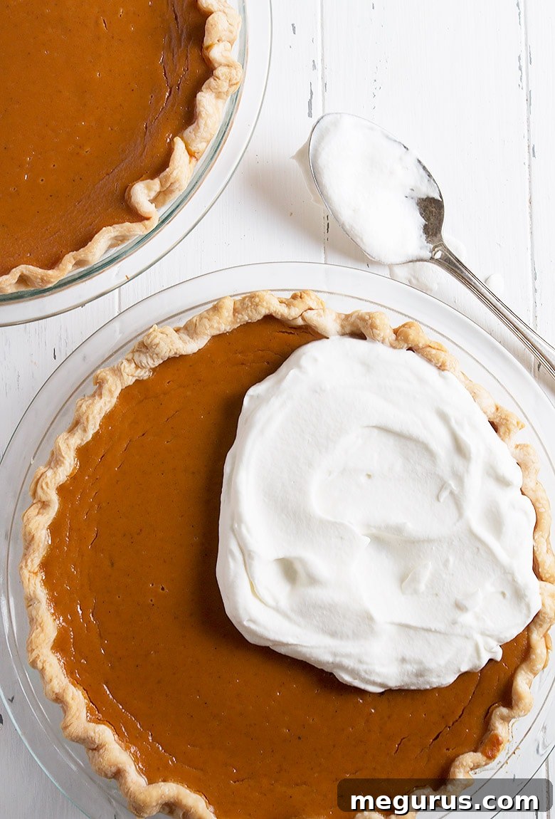 A beautifully baked pumpkin pie, with a smooth, golden-brown top and a perfectly crimped crust, ready to be sliced and served.