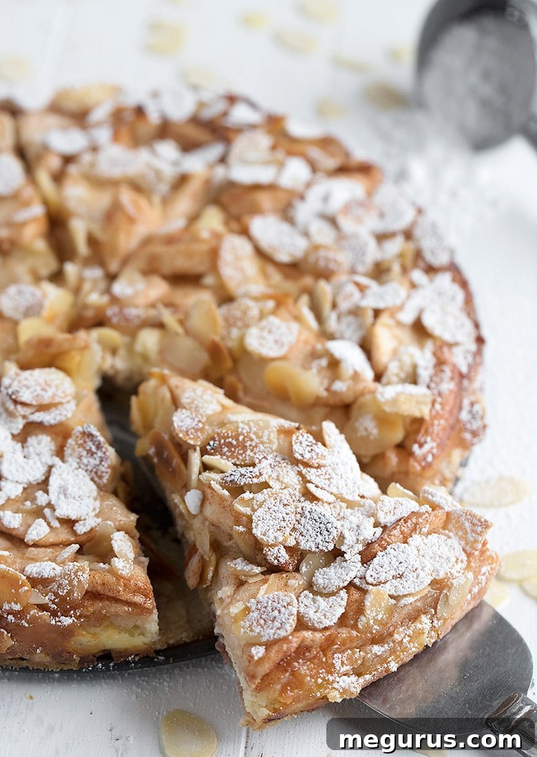 A beautifully presented slice of Bavarian apple torte on a plate, dusted with powdered sugar