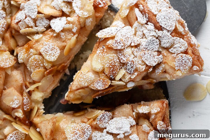 Bavarian apple torte sliced for serving