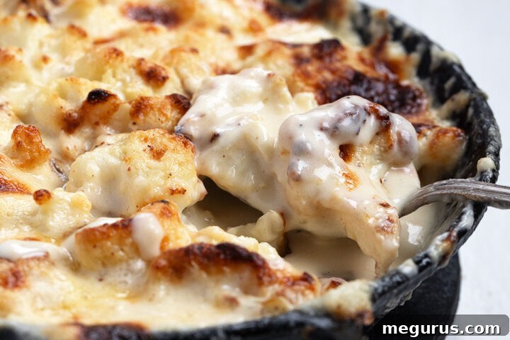 Cauliflower cheese in a cast iron skillet