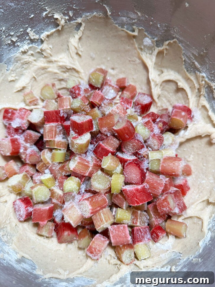 Gently adding the diced rhubarb to the cake batter.