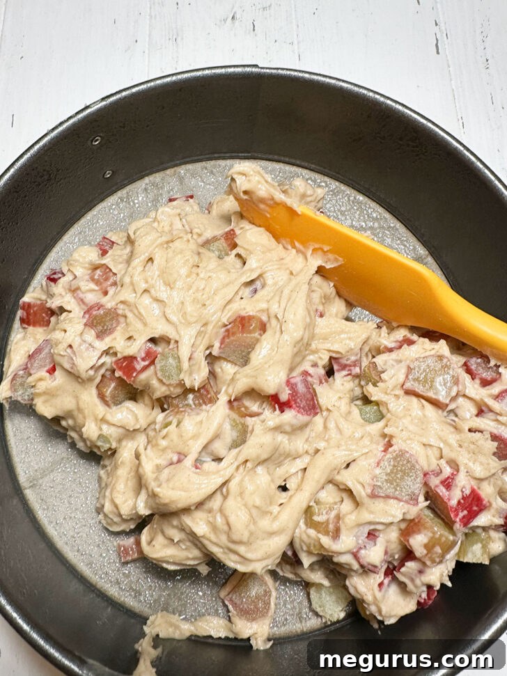 Spooning the prepared rhubarb sour cream cake batter into a springform pan.