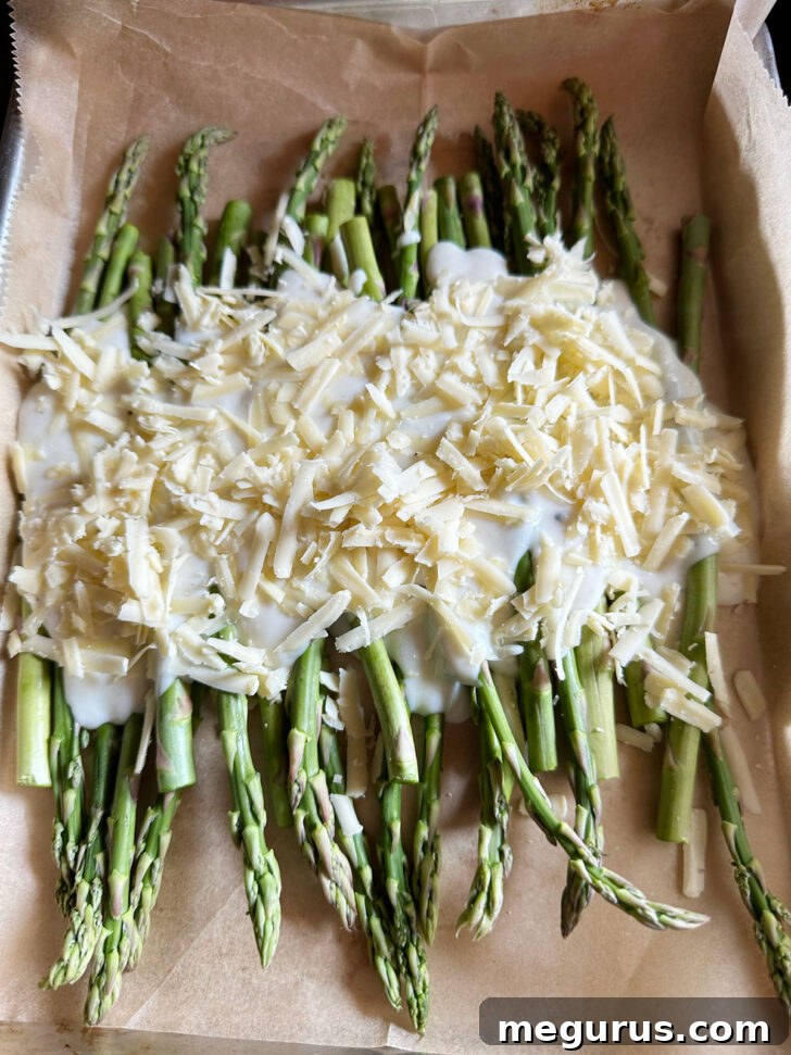 adding cheese on top of white sauce