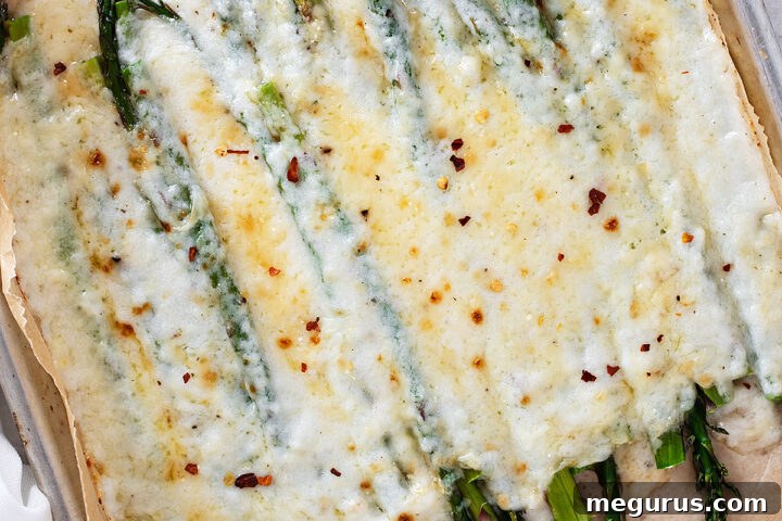 creamy asparagus on baking sheet