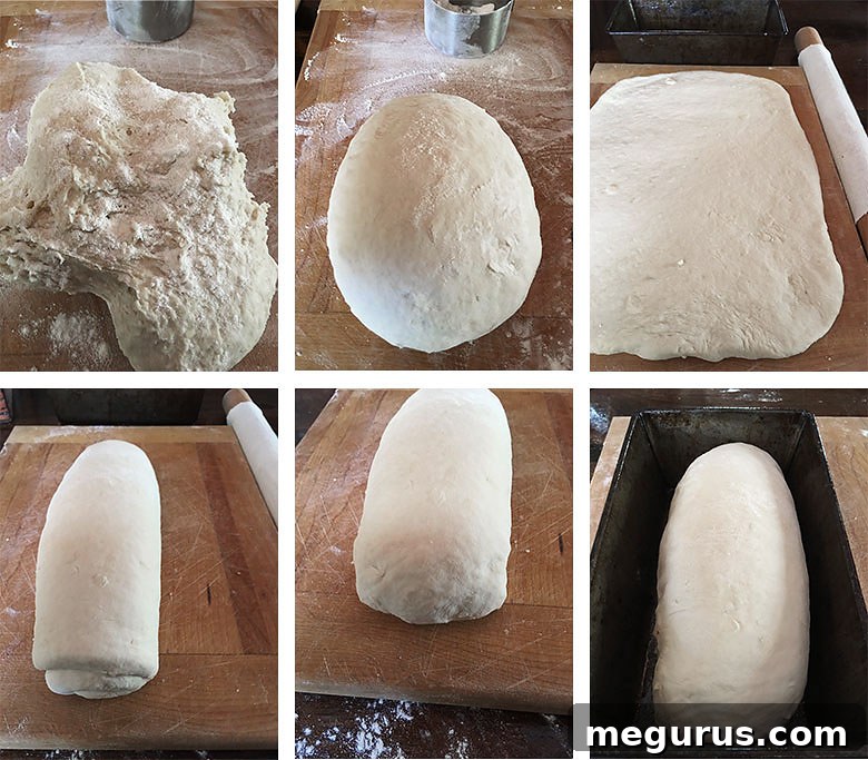 Collage showing the shaping the dough.