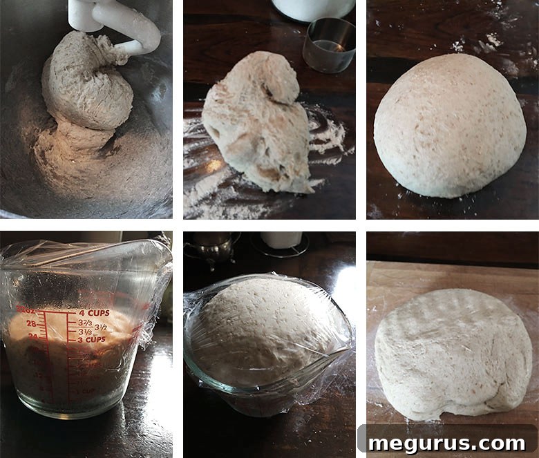 Step-by-step photos of dough after the first rise, being shaped on a floured surface, and placed in a greased bowl.