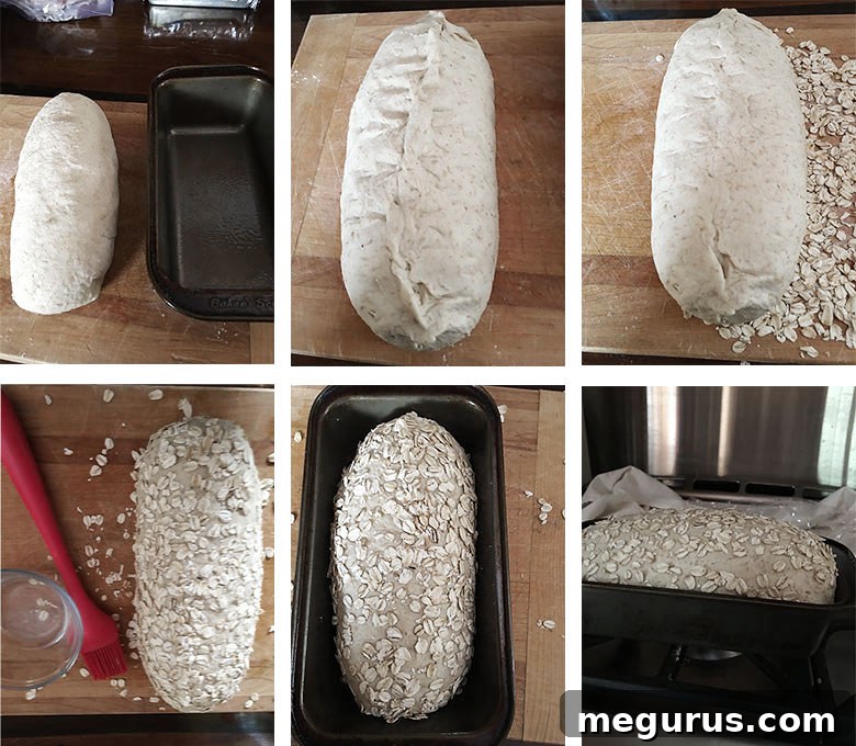 Step-by-step photos of the final stages of making honey oatmeal bread, including shaping, coating with oats, and placing in a loaf pan.