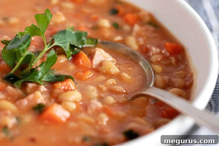 Hearty and Easy Ham and Bean Soup