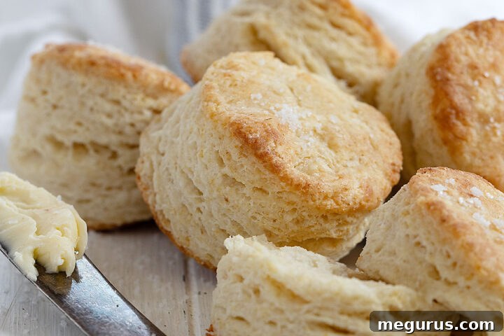 Close-up of a warm, fluffy buttermilk biscuit with a pat of butter melting on top, ready to eat.