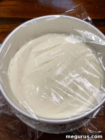 Springform pan containing the dessert, securely covered with plastic wrap.