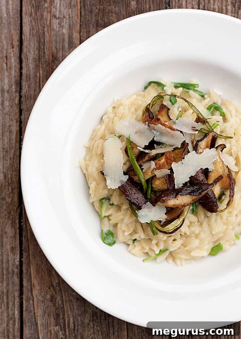 Close-up of Orzo Risotto with Garlic Scapes and Shiitake Mushrooms