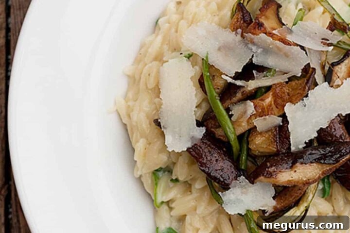 Orzo with Shiitake Mushrooms and Garlic Scapes