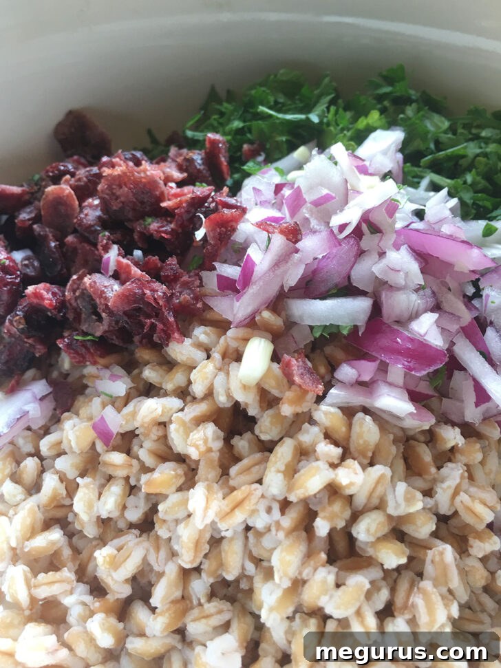 Dried cranberries being added to the mixing bowl with farro, red onion, and parsley.