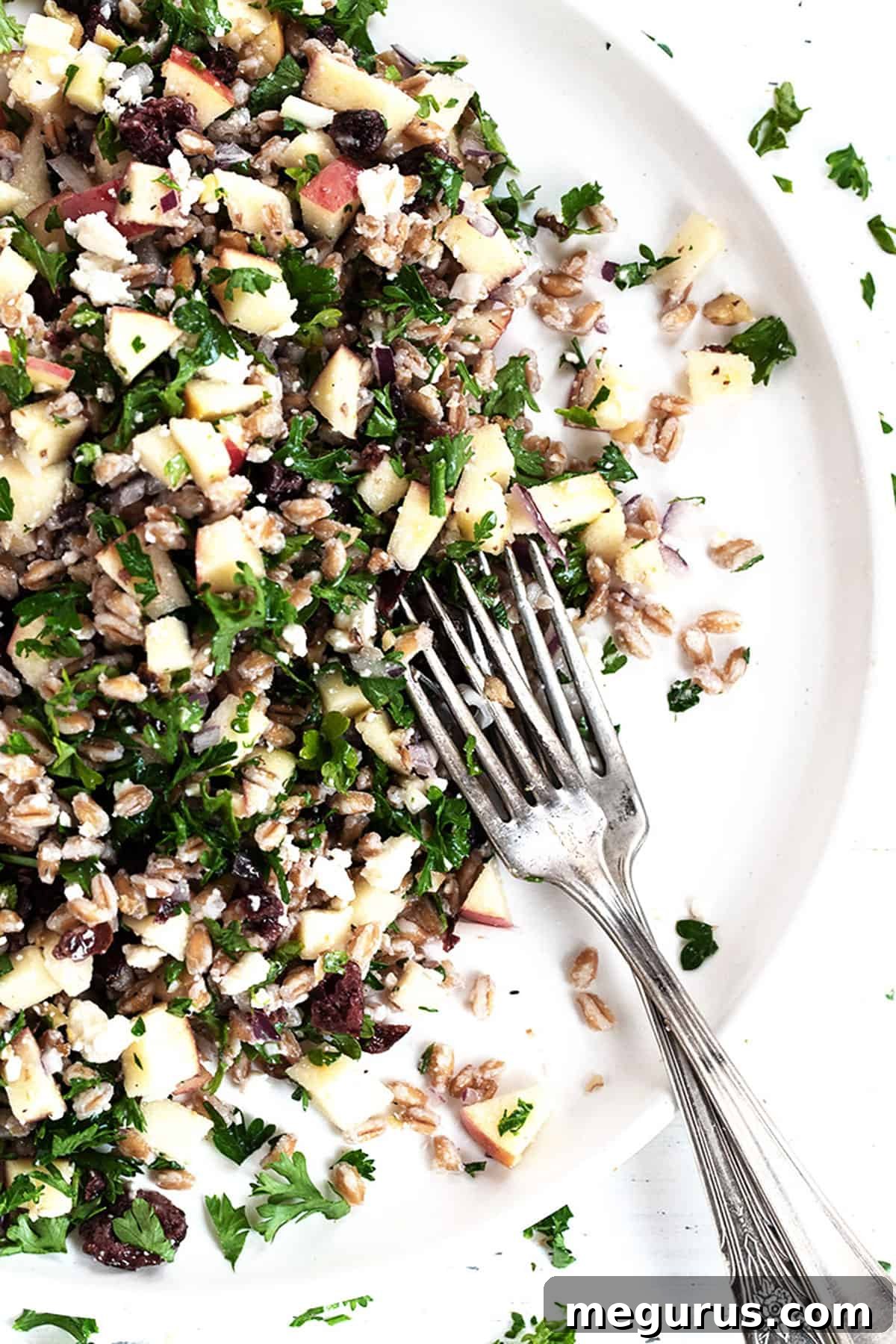 Close-up of Fall inspired tabbouleh salad on a white plate with forks, highlighting the texture of farro and the fresh ingredients.