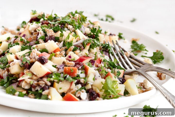 Fall farro salad on plate with forks, visually demonstrating the rich ingredients.