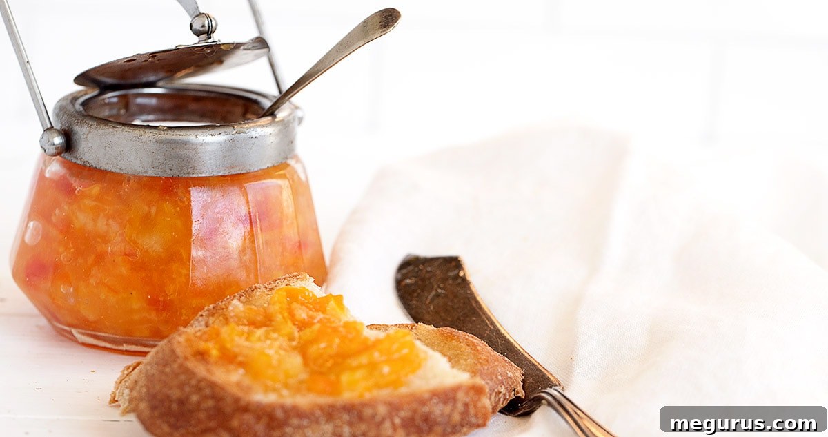 orange marmalade in jar and on toast
