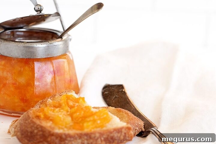 orange marmalade in jar and on toast